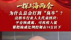 上海人大代表直言网约车 30% 抽成过高，建议下调至 10% 以下