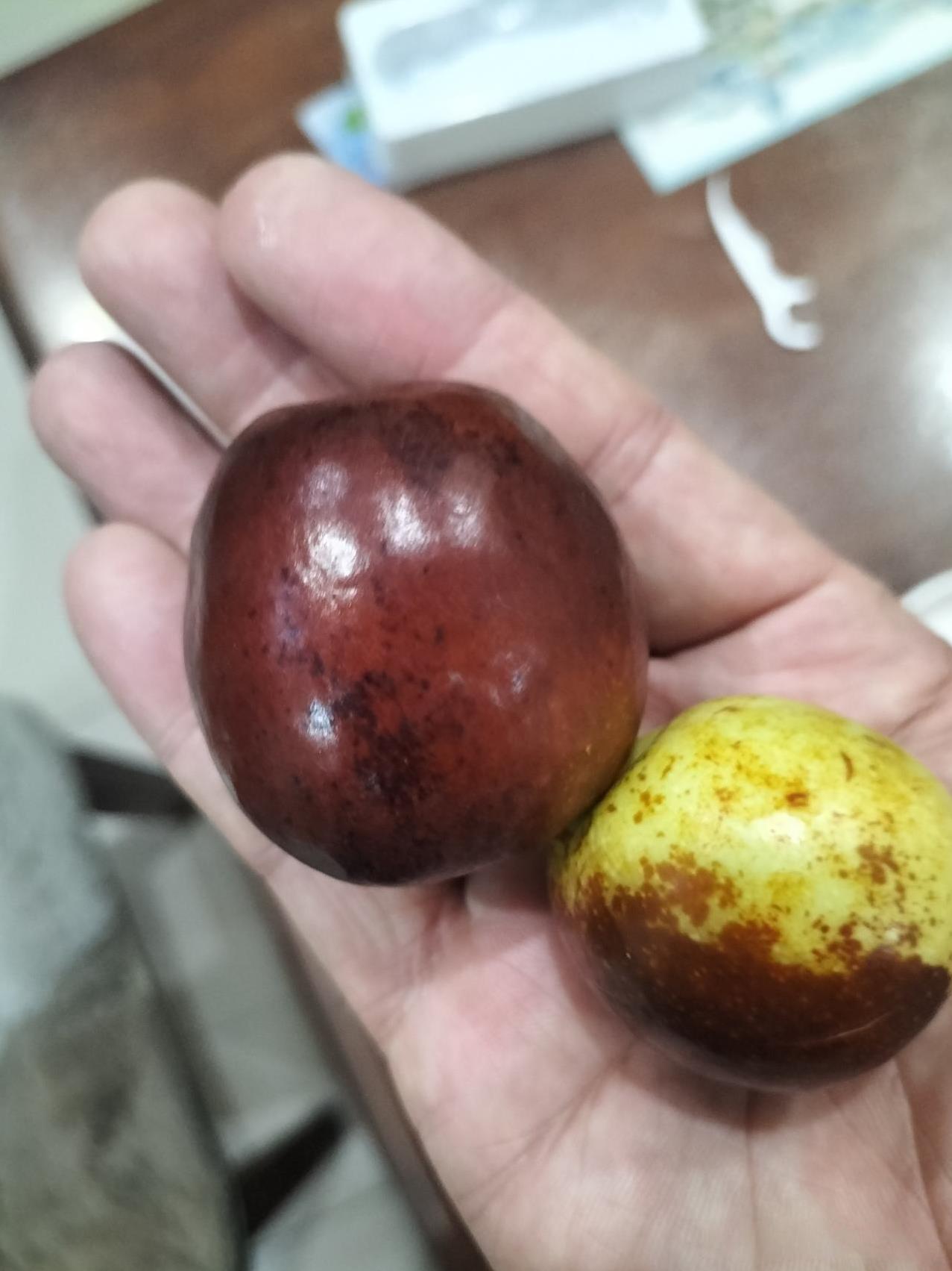秋天吃冬枣，又大又脆很甜。
我们这里一到中秋，冬枣就上市了，最早冬枣来自沾化，刚