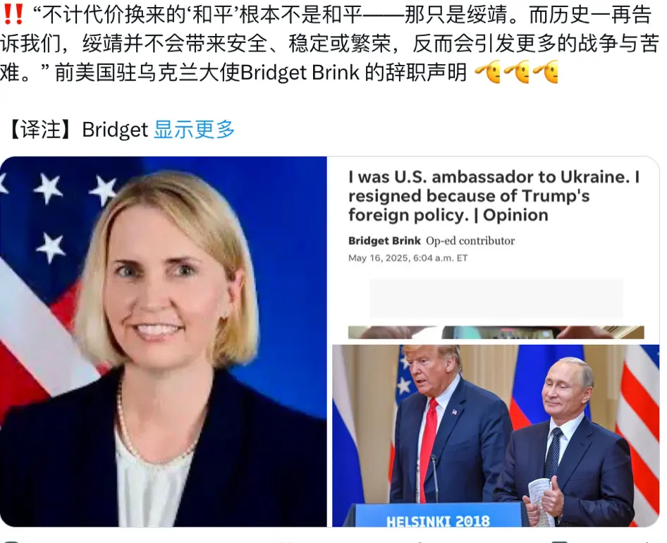 美国驻乌克兰大使，用辞职批评特朗普的绥靖政策