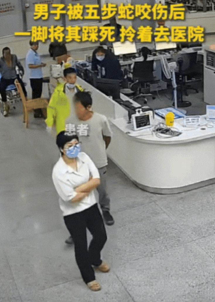 这大叔是个狠人！浙江，男子不慎被五步蛇咬了，竟然不想着跑，反而冲上去一脚将蛇踩死
