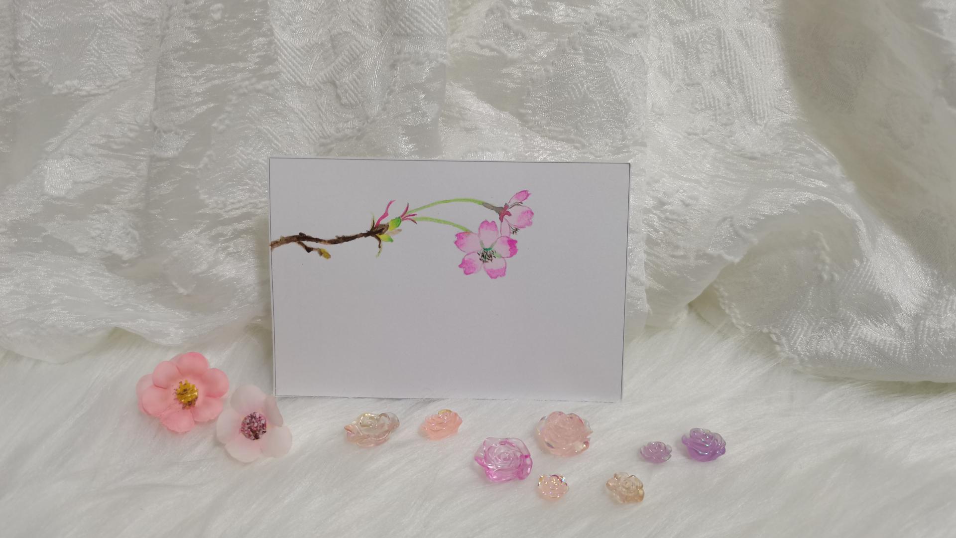 28 单枝樱（绘画 水彩 果花甘06）