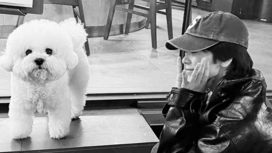 宋慧乔更新动态：与亲吻爱犬好温馨，晒幼时萌照圆脸圆眼好可爱