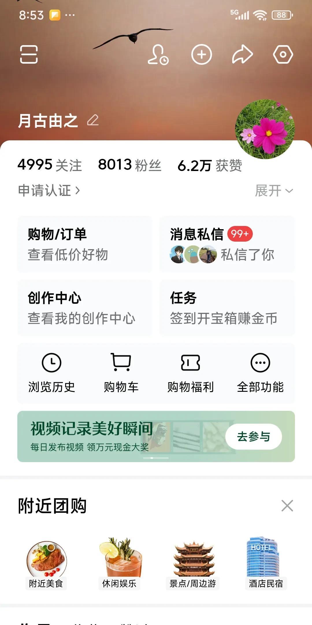 消息私信栏里又是99+。
我立刻打开一一回复。
今天，已经是回了两次消息私信栏里