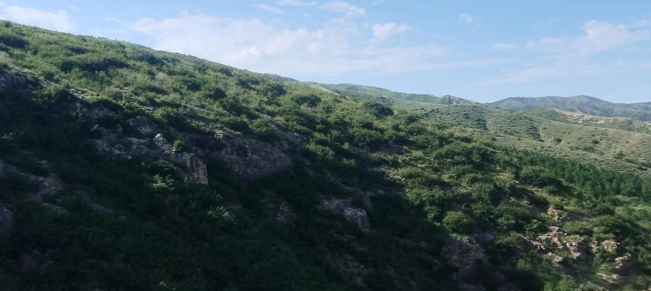 山清水秀，焦占坟村
