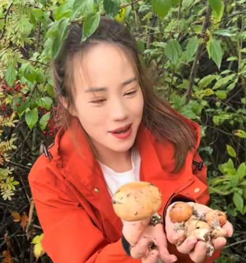 小二娃怂了藏起来，网友反手对小妹儿倒打一耙。一夜之间风向为何突然变了？

不知道