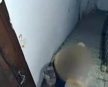 吉林一男子和家人入住新房后，多次遭到楼下患有精神病的女邻居砸门、谩骂。2年半时间