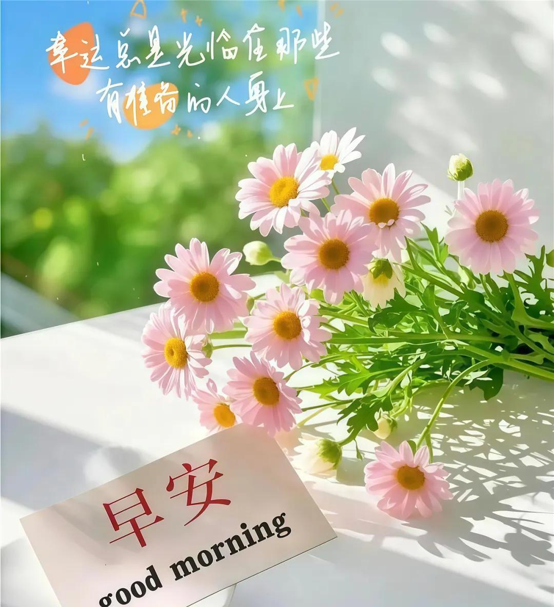 清晨送祝福，开启快乐一天；日常道问候，维系心意相连。愿你晨起带笑、梦有甜蜜，忙时