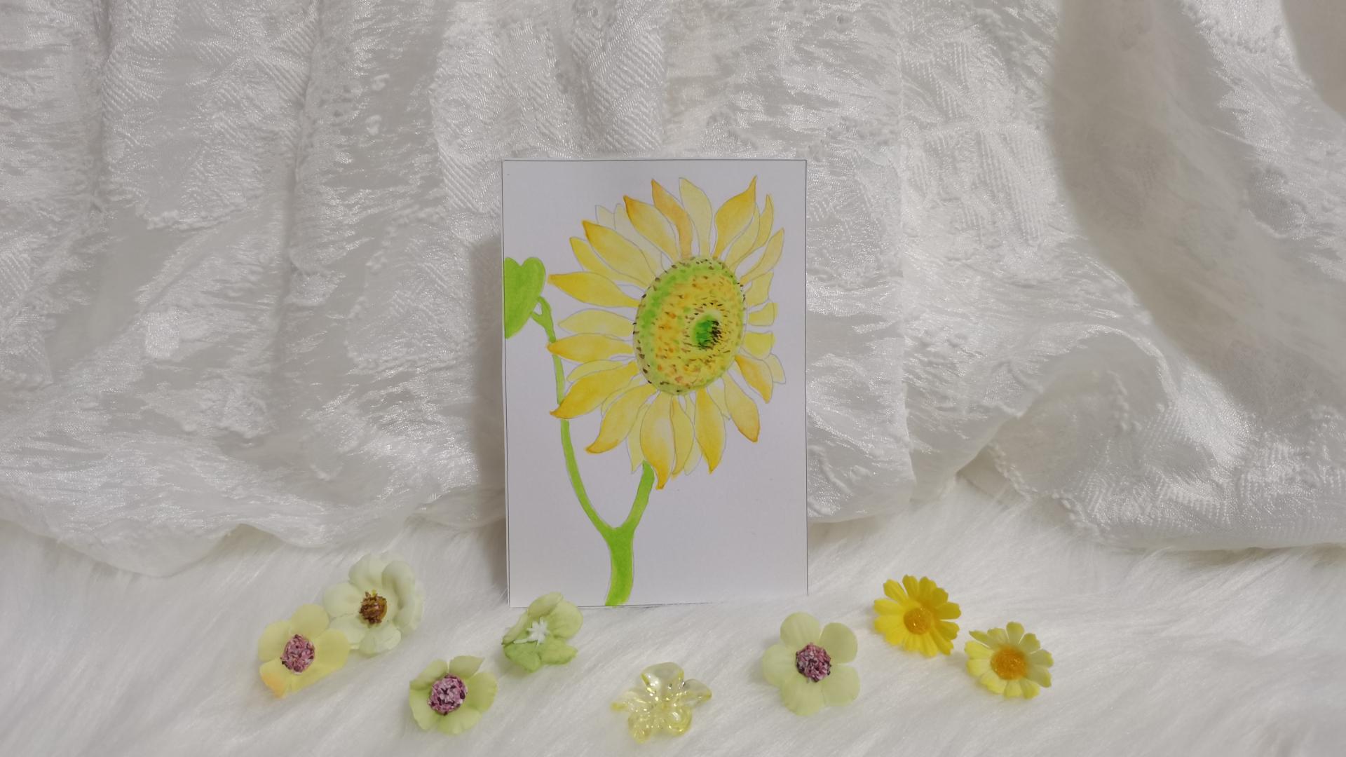 33 向日葵（绘画 水彩 果花甘06）