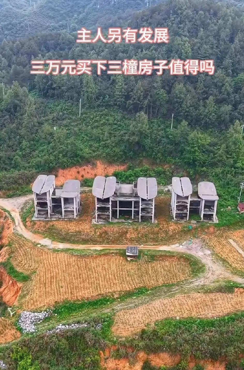 主人另有发展
三万元买下三橦房子值得吗