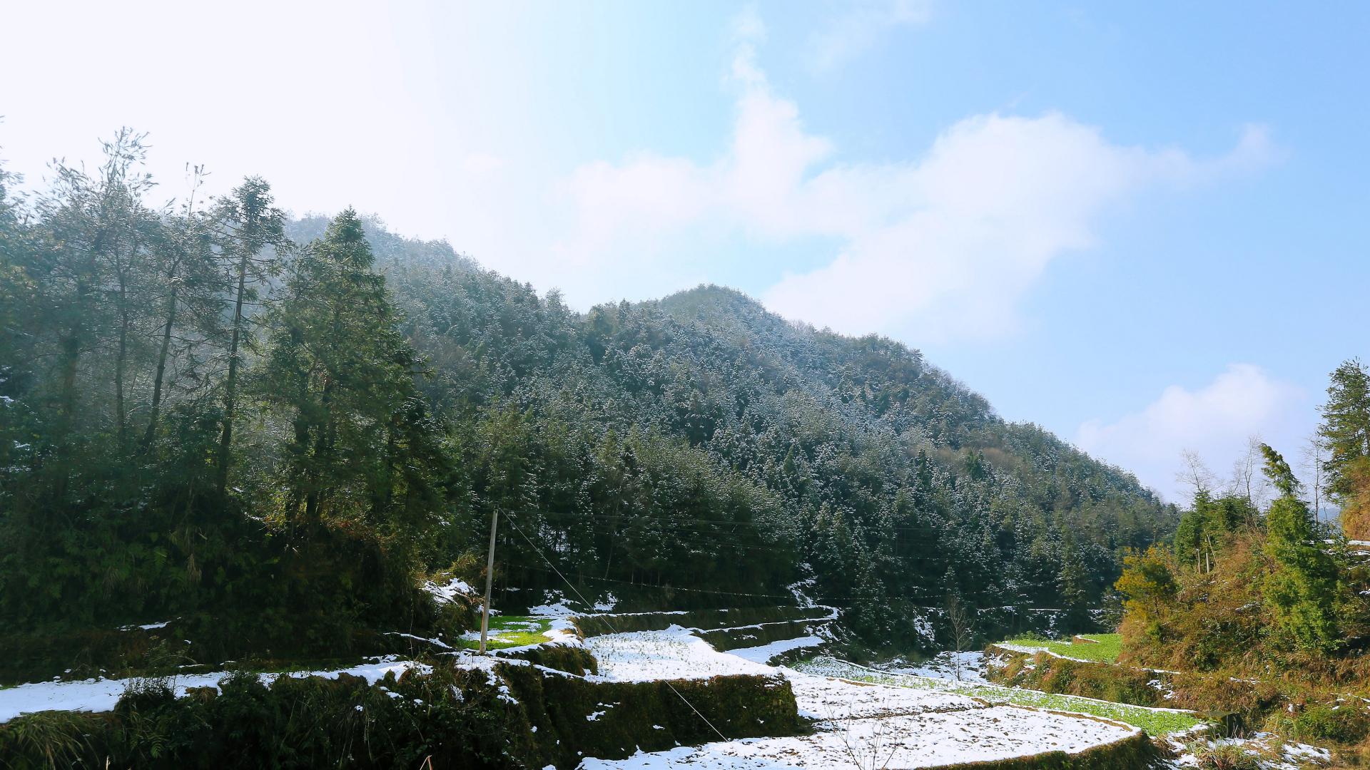 童年：山野里的风雨