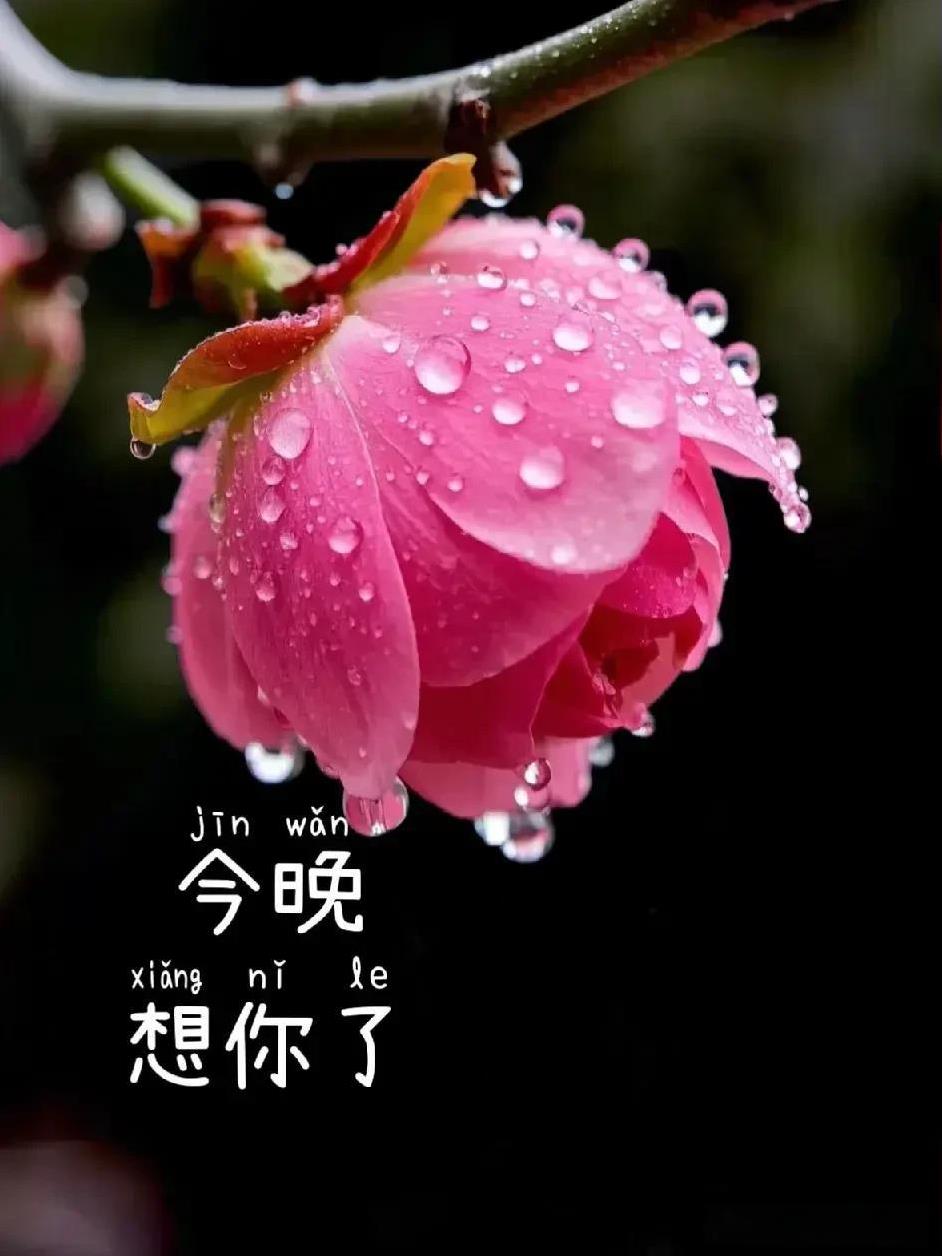 你明明知道我很爱你
也知道我在等你
更知道我舍不得放弃你
你什么都知道
为什么