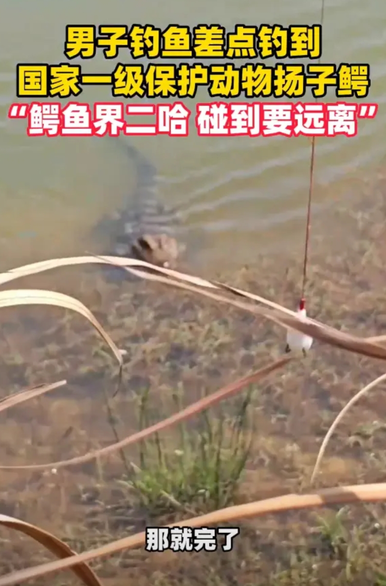 “吓坏了！”安徽宣城，男子在河边钓鱼，不料，刚把鱼饵扔进去，就发现水面突然泛起不