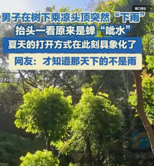 福建一男子坐在树下正在乘凉休息时，突然感觉从天而降很多“雨水”！男子被淋的全身都
