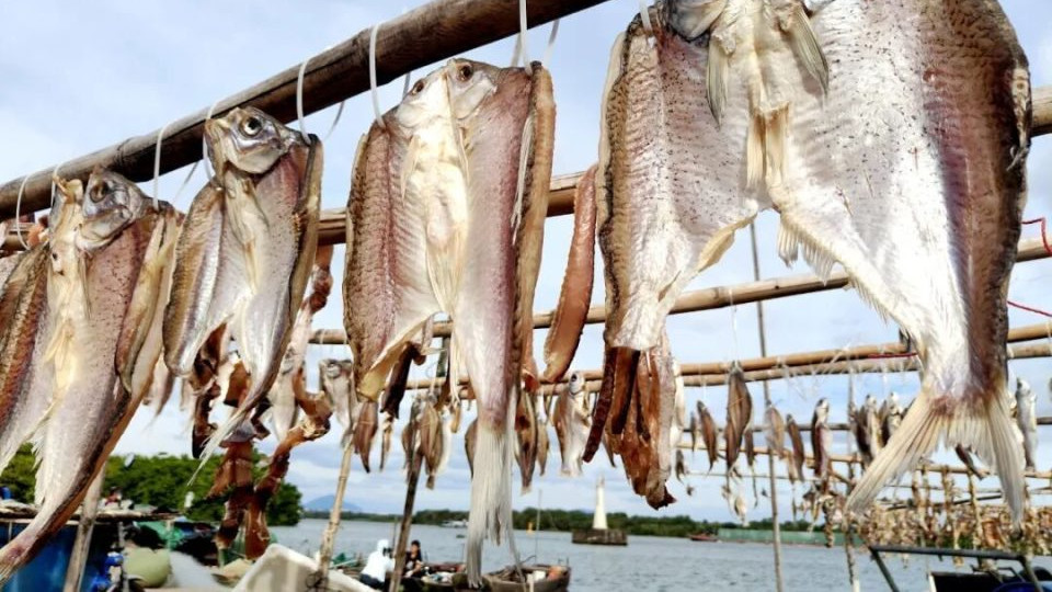 秋冬必尝！山塘鱼干蒸着香、焖着鲜，好吃到停不下来