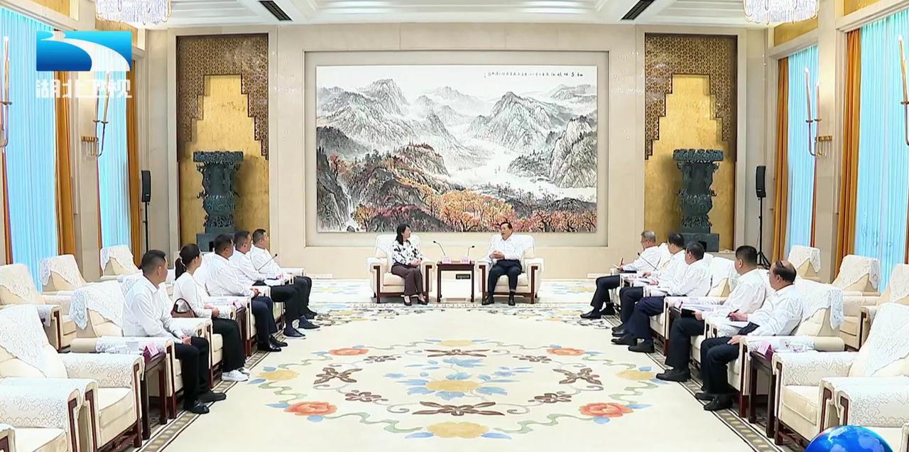 6月25日，湖北省领导在武汉会见中创新航科技集团股份有限公司董事长刘静瑜一行。