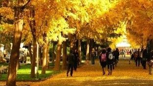 人生，到底有没有彼岸？