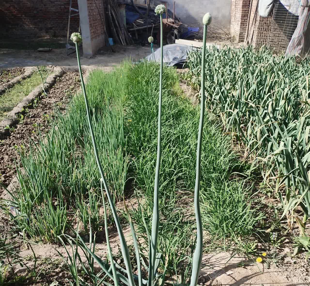 你肯定应该高兴啊！老人随便给你买点什么都是她的心意。老人节俭惯了，你就知足吧！再