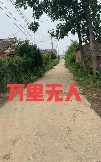 不管是男人还是女人都不要独身
就算是单身也要留后，不管是儿子还是女儿最少要有一个
