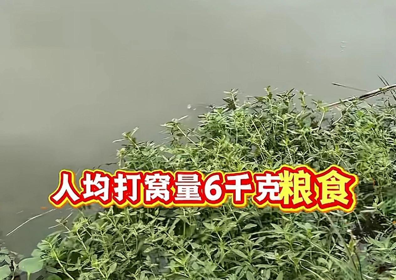 我一朋友，早上4点出发到洪泽湖，
撒了200斤玉米，钓了一天，
最后得出结论：洪