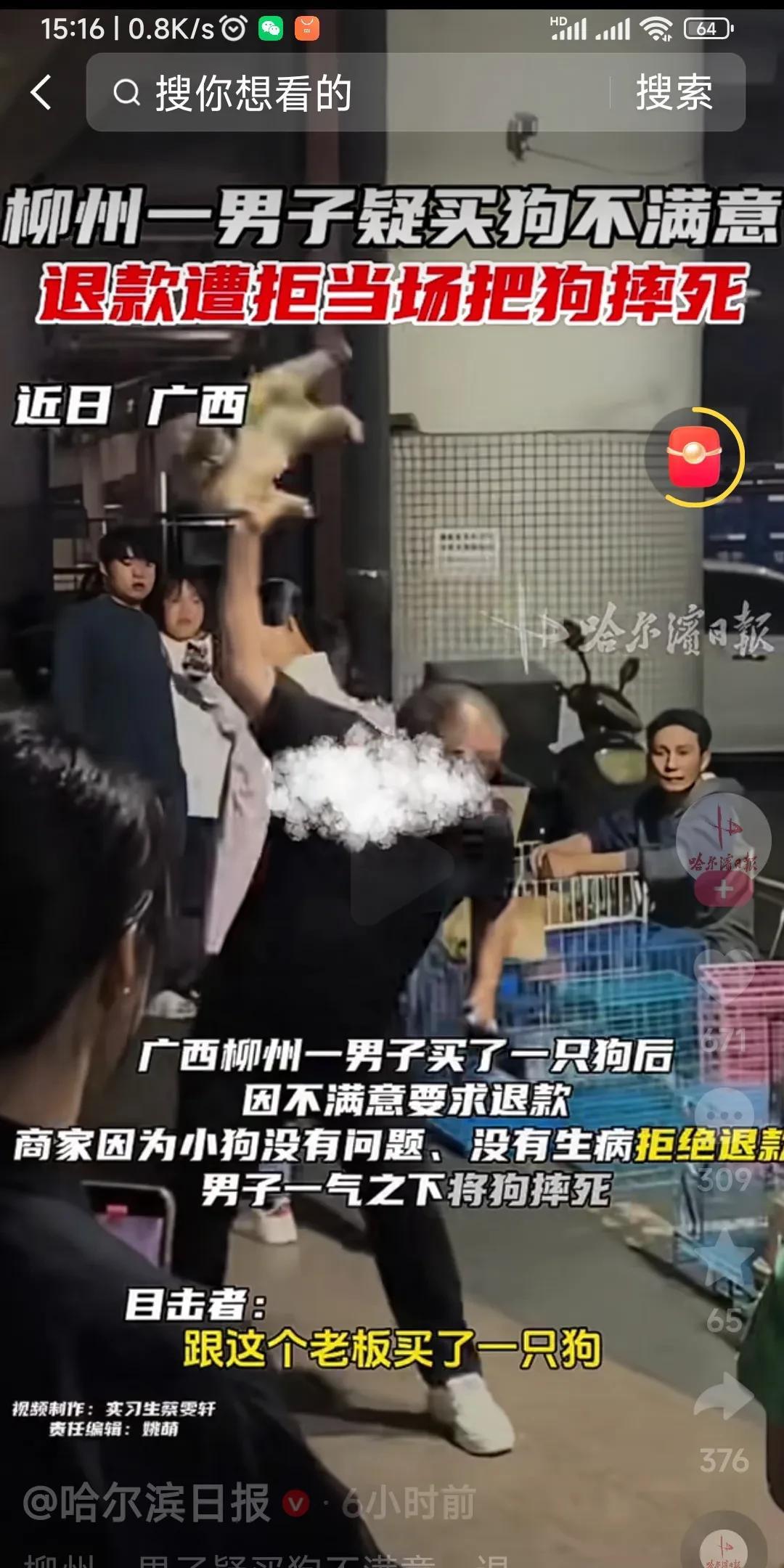 该多残忍的人拿小狗赌气！广西柳州男子买狗后不满意，退款遭拒竟当街将小狗摔死，路人