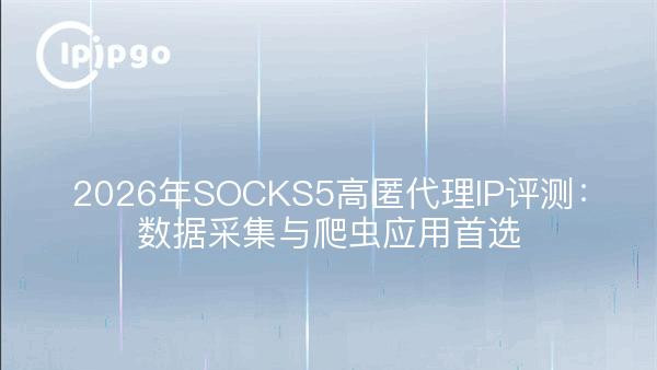 2026年SOCKS5高匿代理IP评测：数据采集与爬虫应用首选