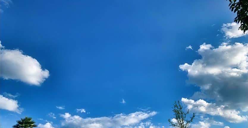又是一起发生在公园的索赔事件，网友们却说公园不应该赔。发生在北京石景山区某公园的