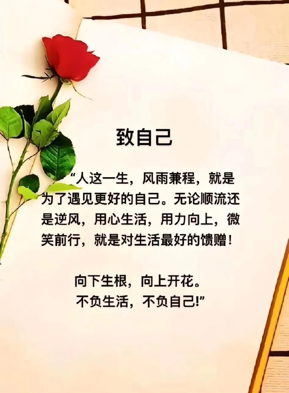 咬牙坚持后才会懂：很多事再撑一程就能柳暗花明。生活从不会永远低谷，触底反弹的瞬间