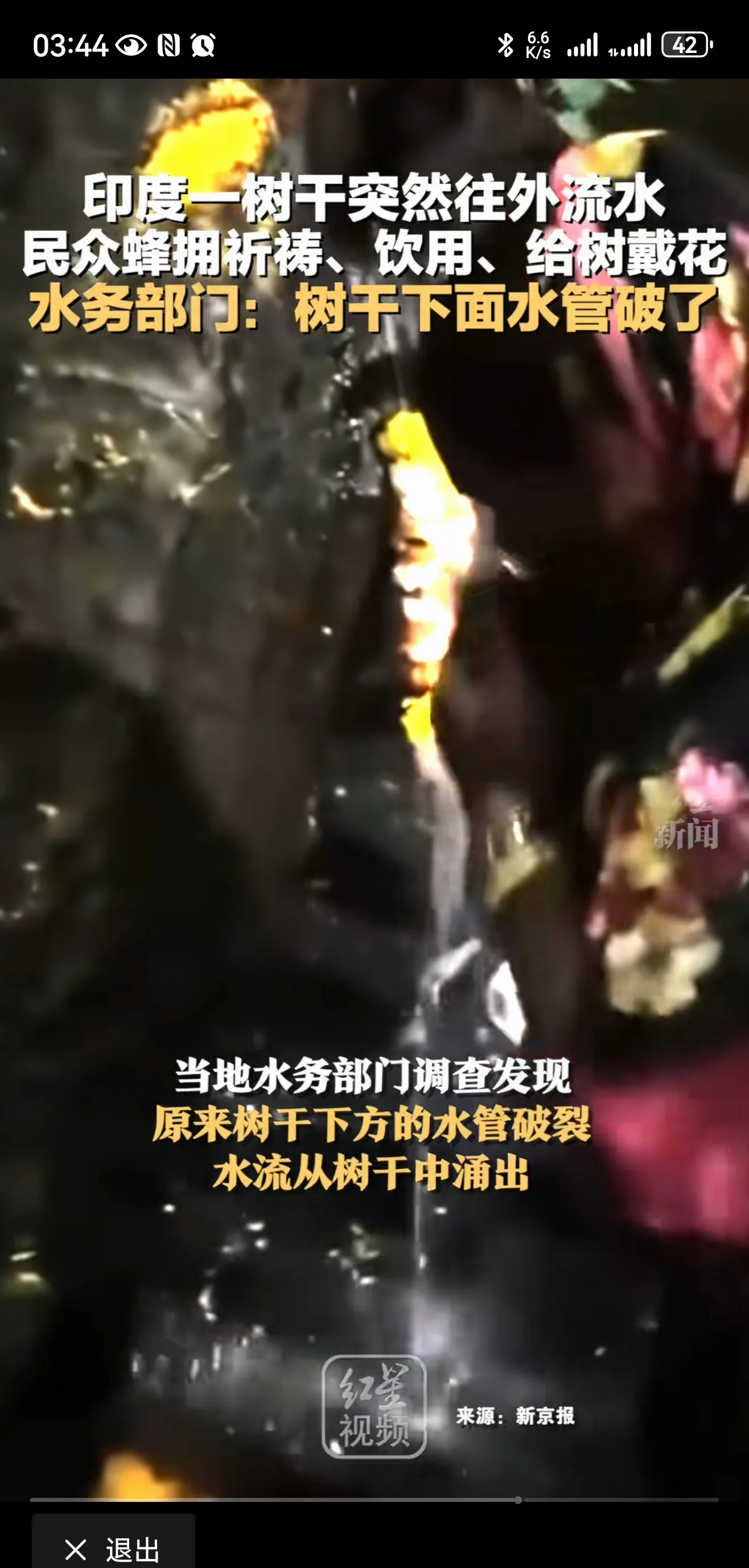 印度怪树往外冒水，原来是水管破了











---








