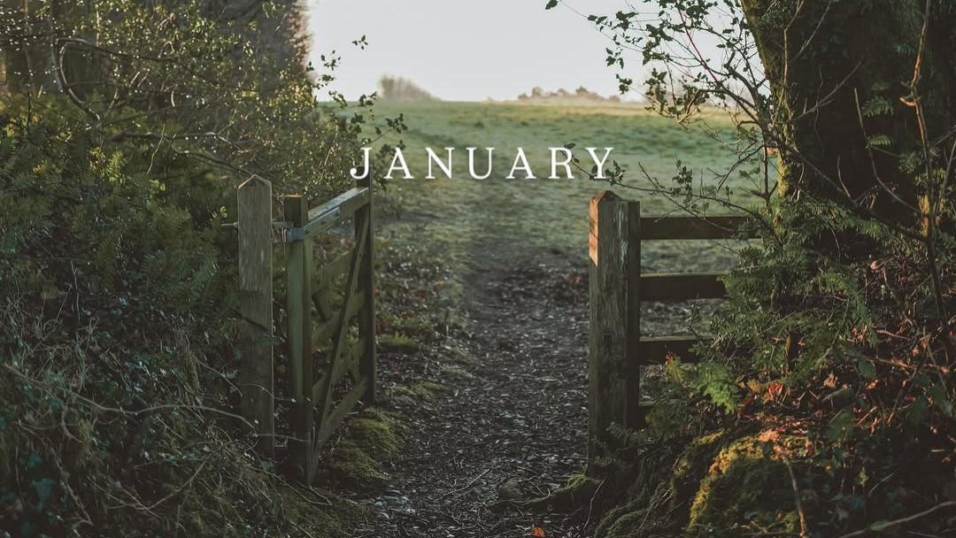 一扇木门，她拍了12个月！只为得到这12张照片