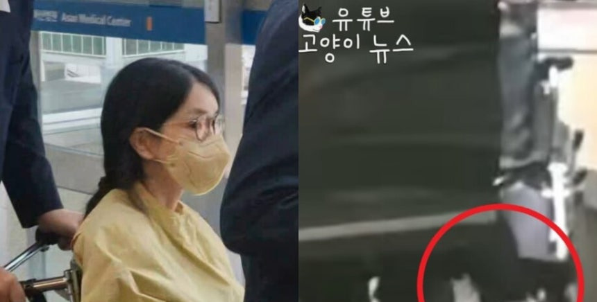 金建希坐轮椅出院却能走











---











我的