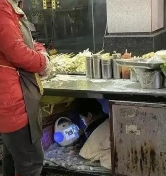 看到这样的照片我真的会羡慕~