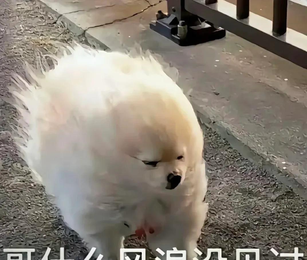 报道说华北地区将出现极端的大风天气，
我趁着有时间，默默做了3件明智的事情：
第