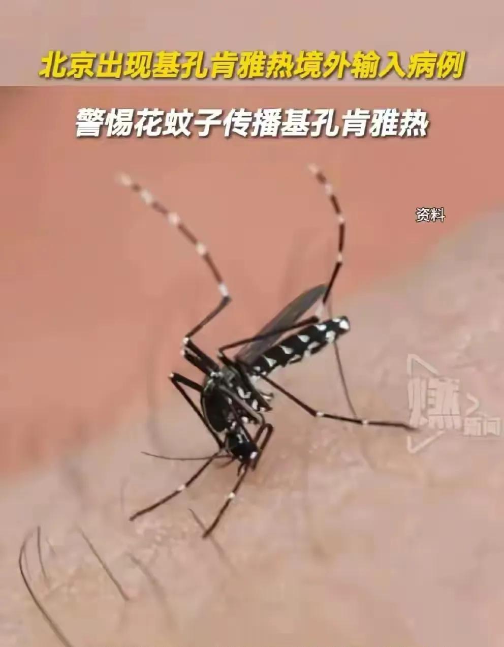 基孔肯雅热，在中国广州爆发了，现在北京已经出现了，其它地方还能坚持多久？
这个病