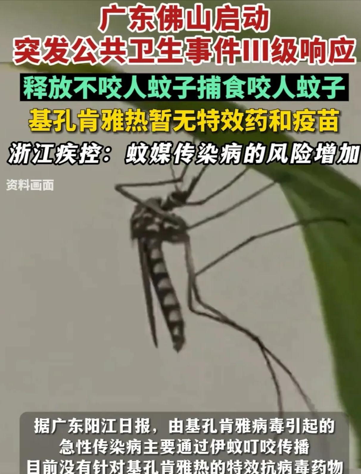 [中国赞]解释不清了！7月30日，广东，为了应对基孔肯雅热，中山大学的副教授带着