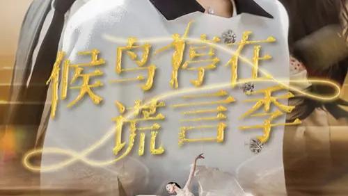 热播短剧分享《候鸟停在谎言季》短剧：谎言与深情交织的情感长卷