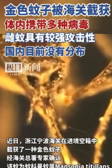 一整船 “带毒蚊子” 居然直接开到了宁波！又是美国，又是病毒，不过这次可不是什么