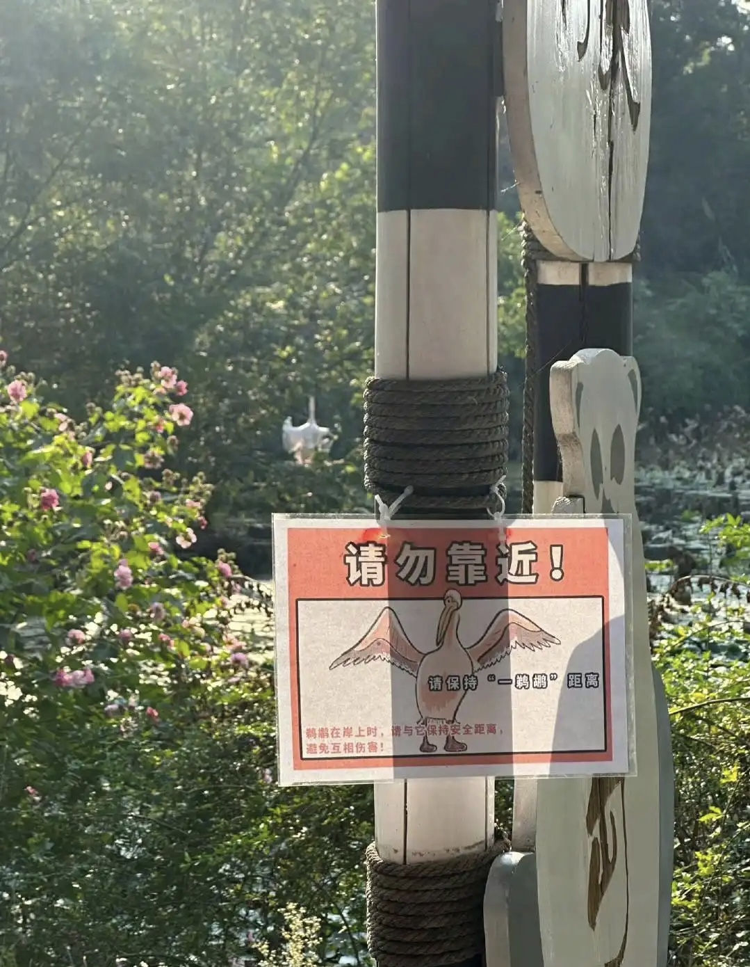 这是真的吗？