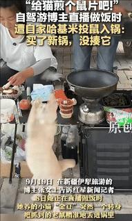18日，新疆伊犁，一女子直播做饭时，自家猫咪突然一个转身，把抓到的老鼠精准的丢到