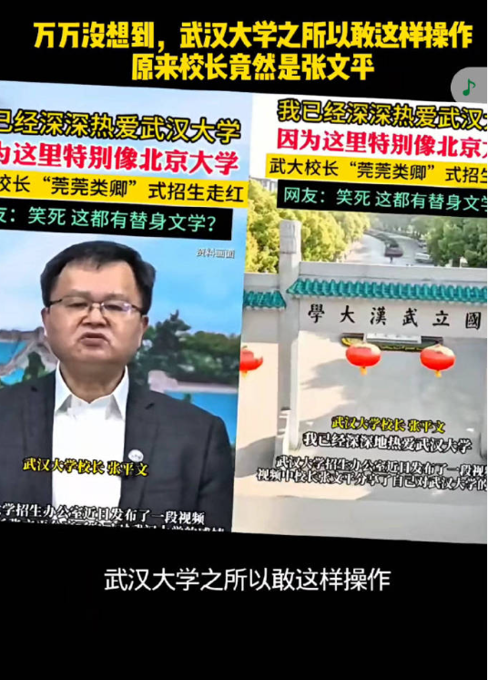 菀菀类卿，等待上级安排…武大校长张平文这种水平、这种操作，让北大风评也受害… ​
