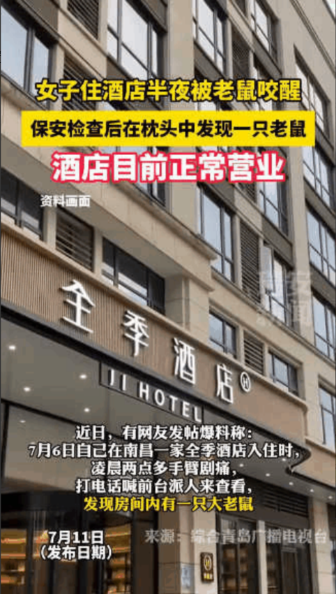 “太恶心了！“女子在全季酒店，半夜胳膊疼得厉害，开灯一瞅，出血了，枕头里竟藏着只