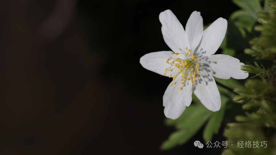 立春后，早上起床，试试花2分钟这样“抖一抖”，有助于肝气顺畅、升发阳气