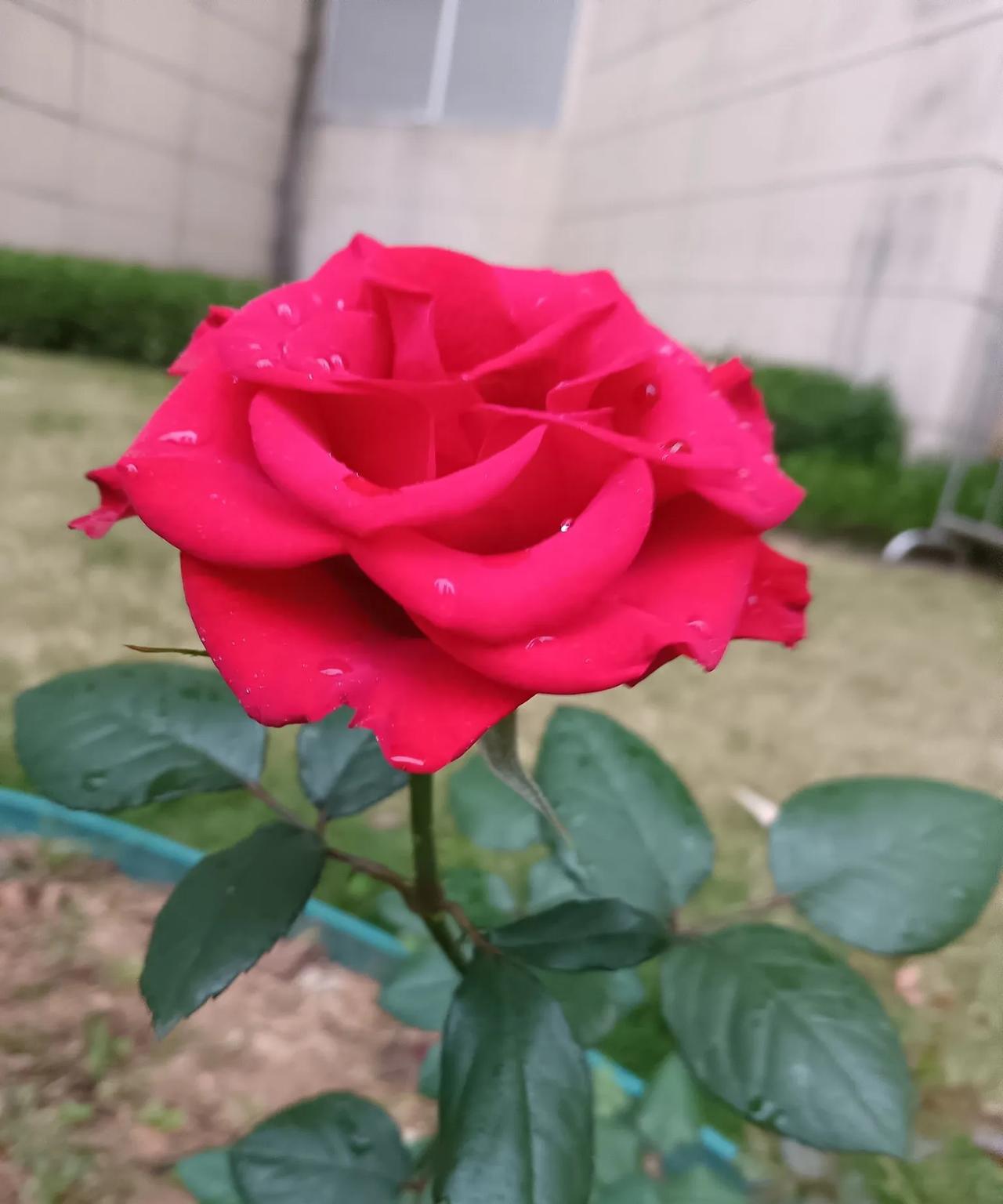 听到这么一段关于女孩子婚假问题的话觉得很有道理，发出来跟大家共勉：
1、不远嫁。