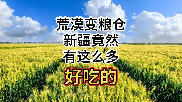 新疆荒漠变粮仓逆天改命！这波操作看哭全国人民
新疆万亩荒漠变良田，智能滴灌技术让