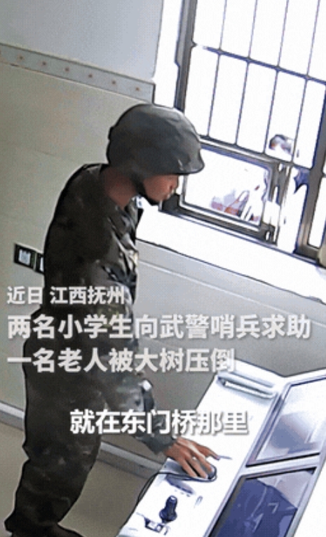 太机智了！江西两名小学生在路上发现老人被大树压住，立即跑向附近的武警执勤点求助，