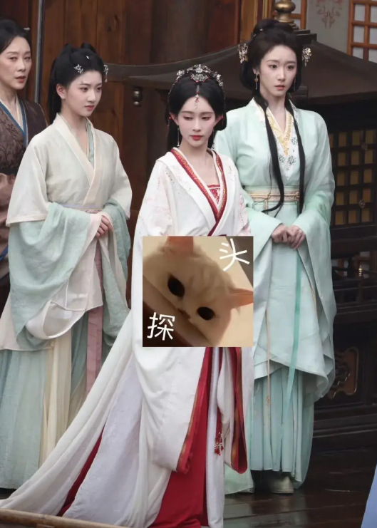 你们看看像谁？还挺好看的，果然美女总有些相似之处。