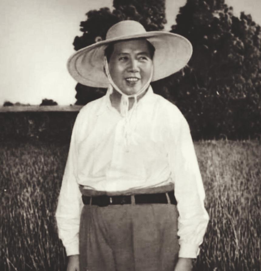 1958年，伟人再次南下视察，途经襄县一片田野。火车临时停靠，伟人下车后，摸着田