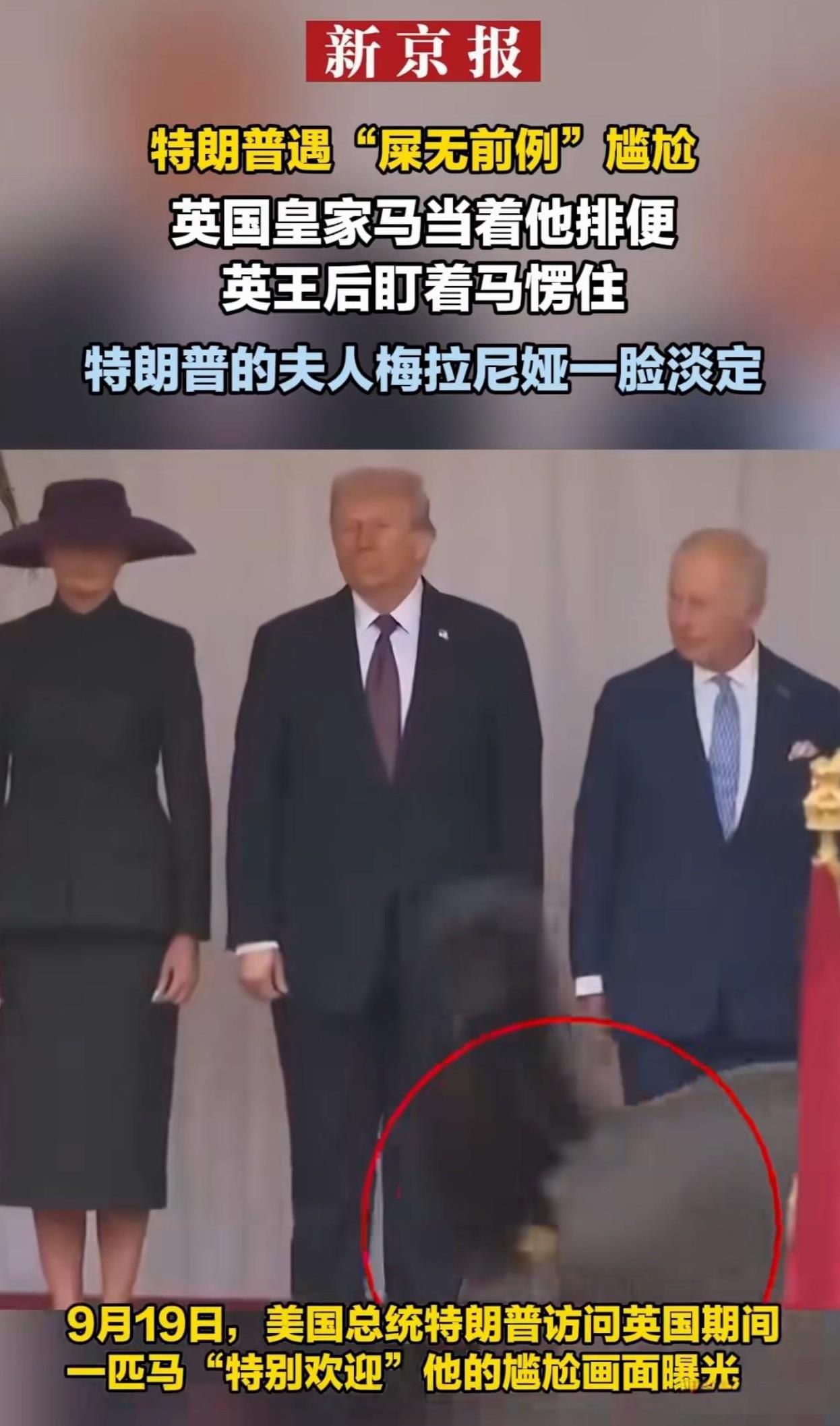 笑死了，“屎无前例”[捂脸][捂脸][捂脸]