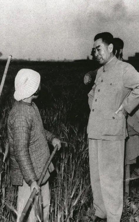 人民的好总理！                 向为中华民族伟大复兴奋     