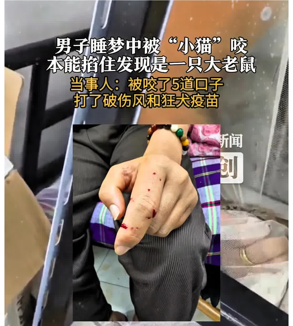 江苏无锡，男子睡觉时，感觉手上有东西在爬，他误以为是养的猫，直接将其抱在怀里，结