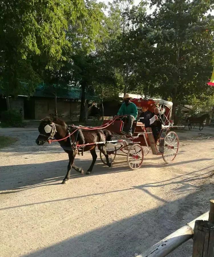 你做过最出格的事是什么？
小时候家里穷的叮当响，快过年了老爸突然发现了商机，说要